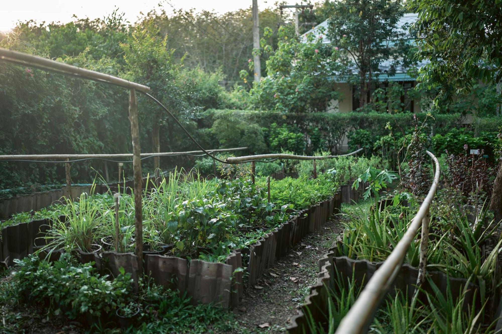 Na Sook Wellness Resort 아오남마오 외부 사진